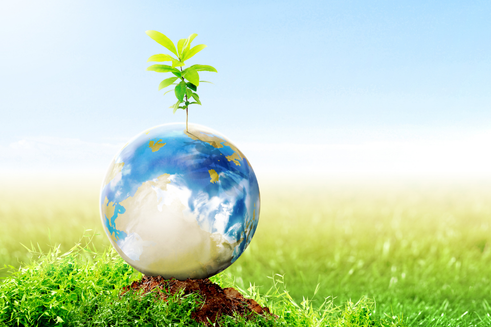 IDLAC Doğa Dostu Eğitim Yaklaşımı